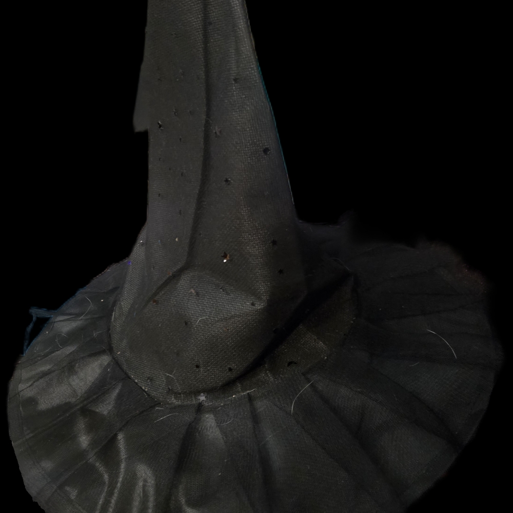 Black Witch Hat with Tulle - Picture 9 of 9